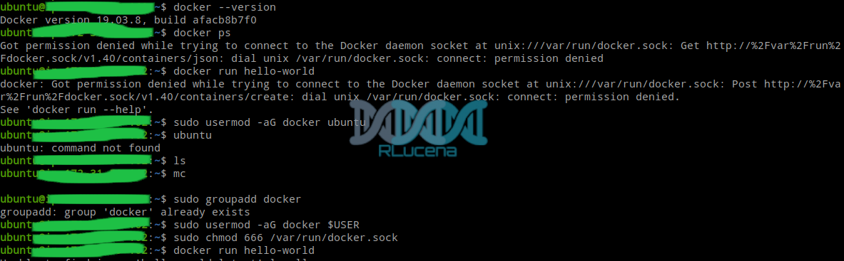 Permission Denied Docker